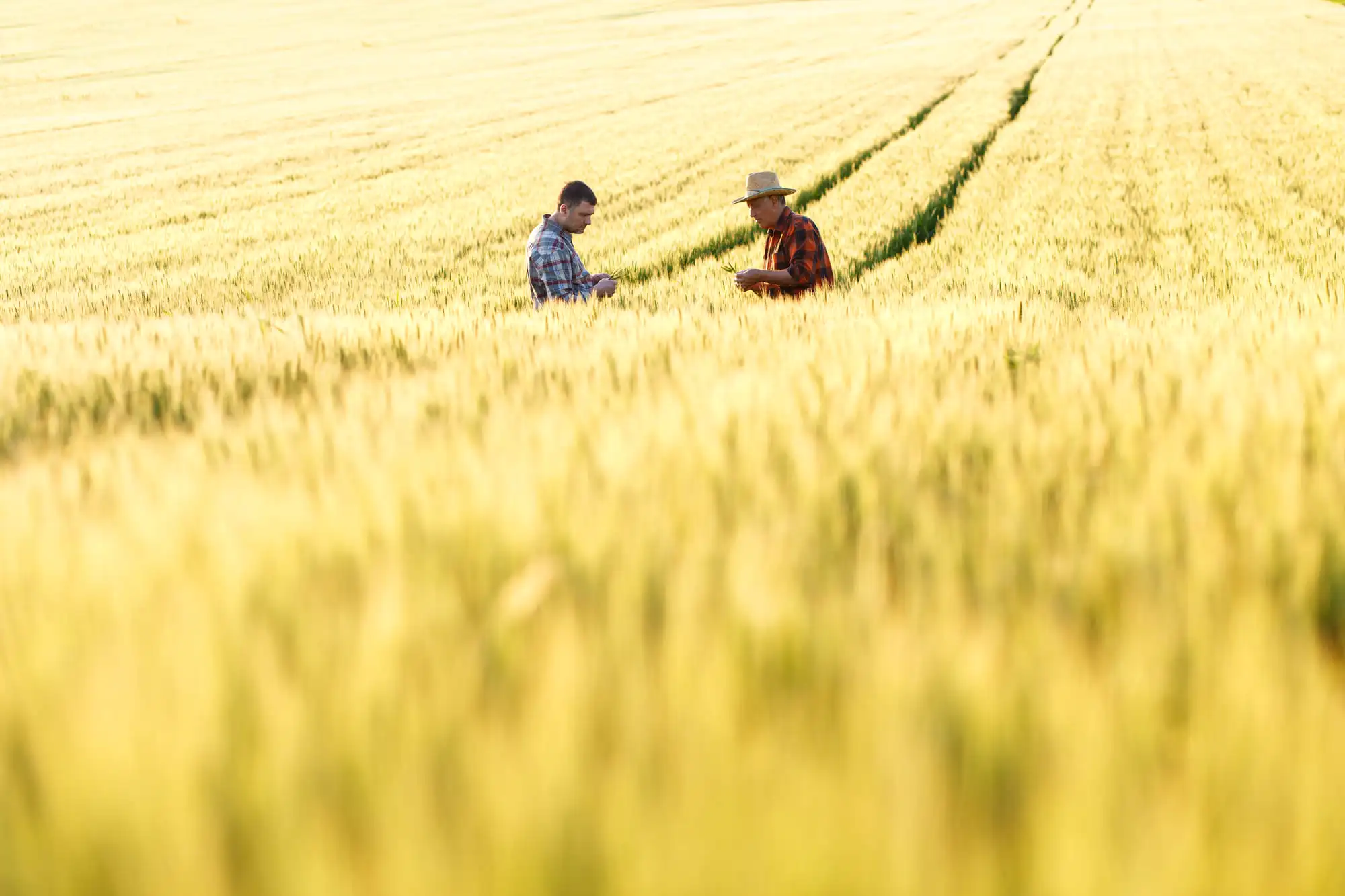 secteur agroalimentaire